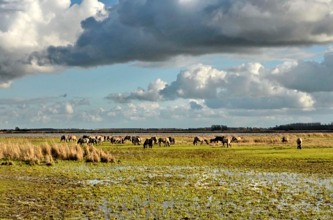Siblu Camping Lauwersoog Eksteriør bilde